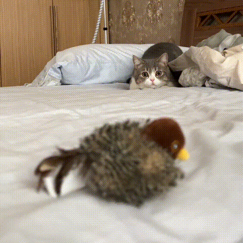 CatChirp Realistische Simulatie Vogel voor Katten - Nooit Meer een Verveelde Kat